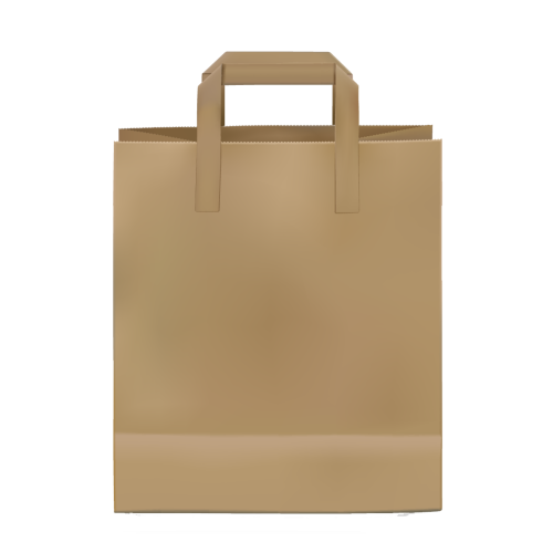 Paper Shopping Bag